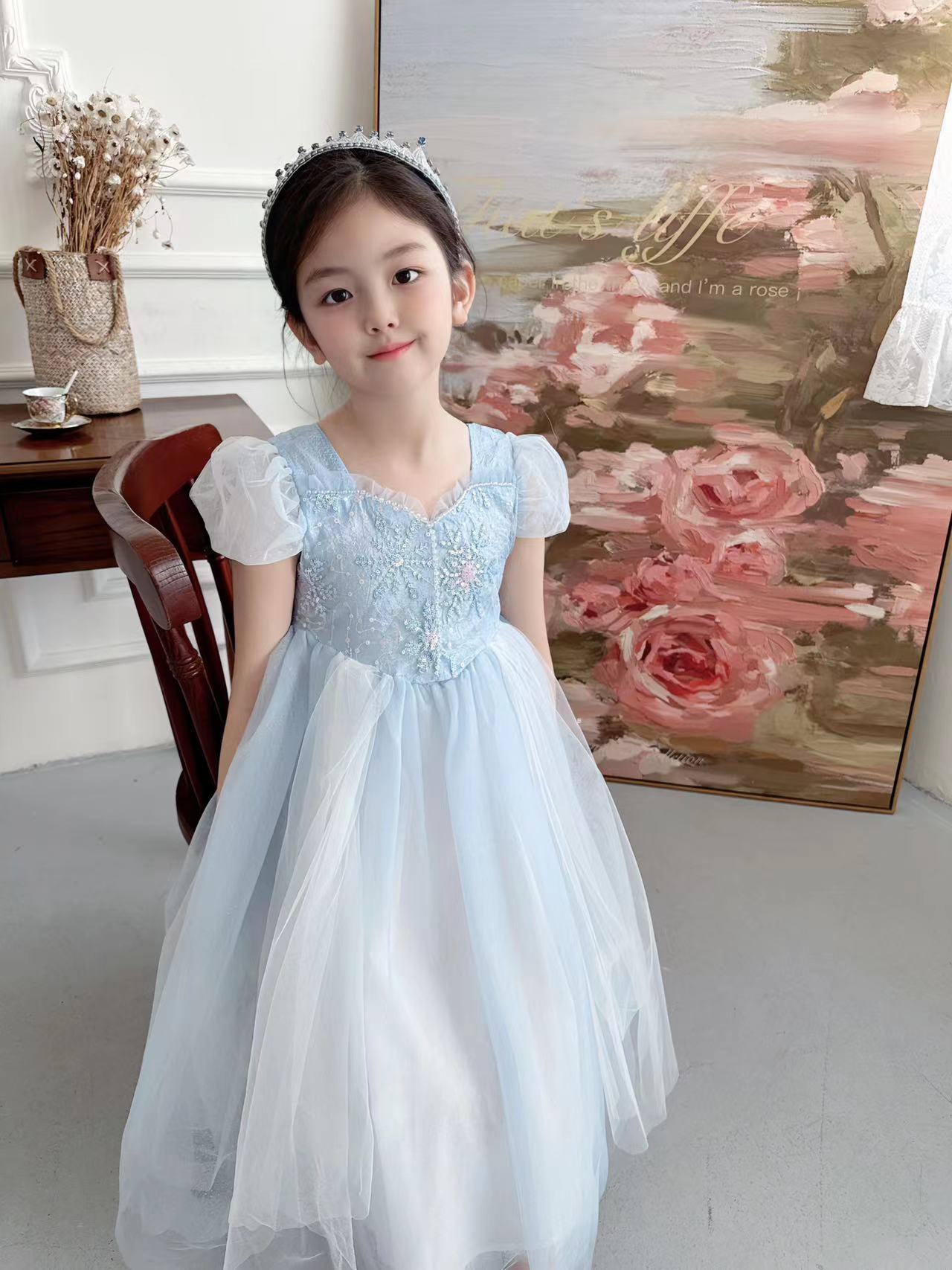 Geborduurde Elsa Meisjes Jurk  - Baby Clothing Dresser recensie en prijs